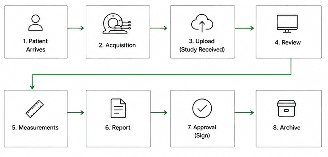 Study path from arrival through review and report